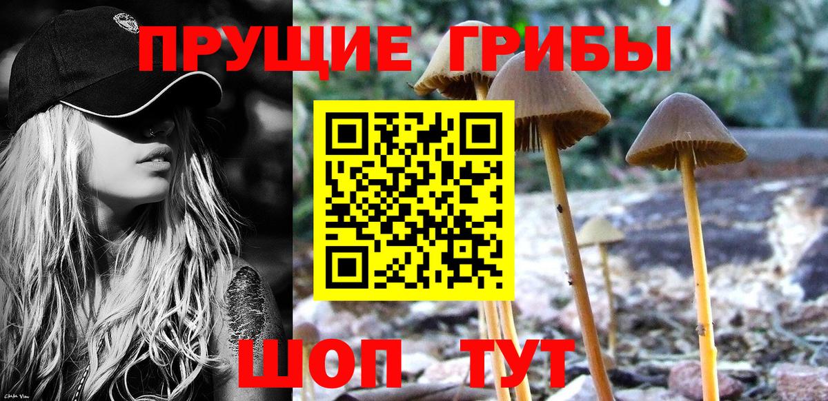 Псилоцибиновые грибы ЛСД  Вход с VPN  Галлюциногенные грибы Psilocybine cubensis  Евпатория 